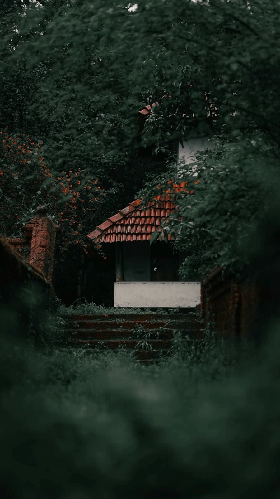 The Serenity Plus 