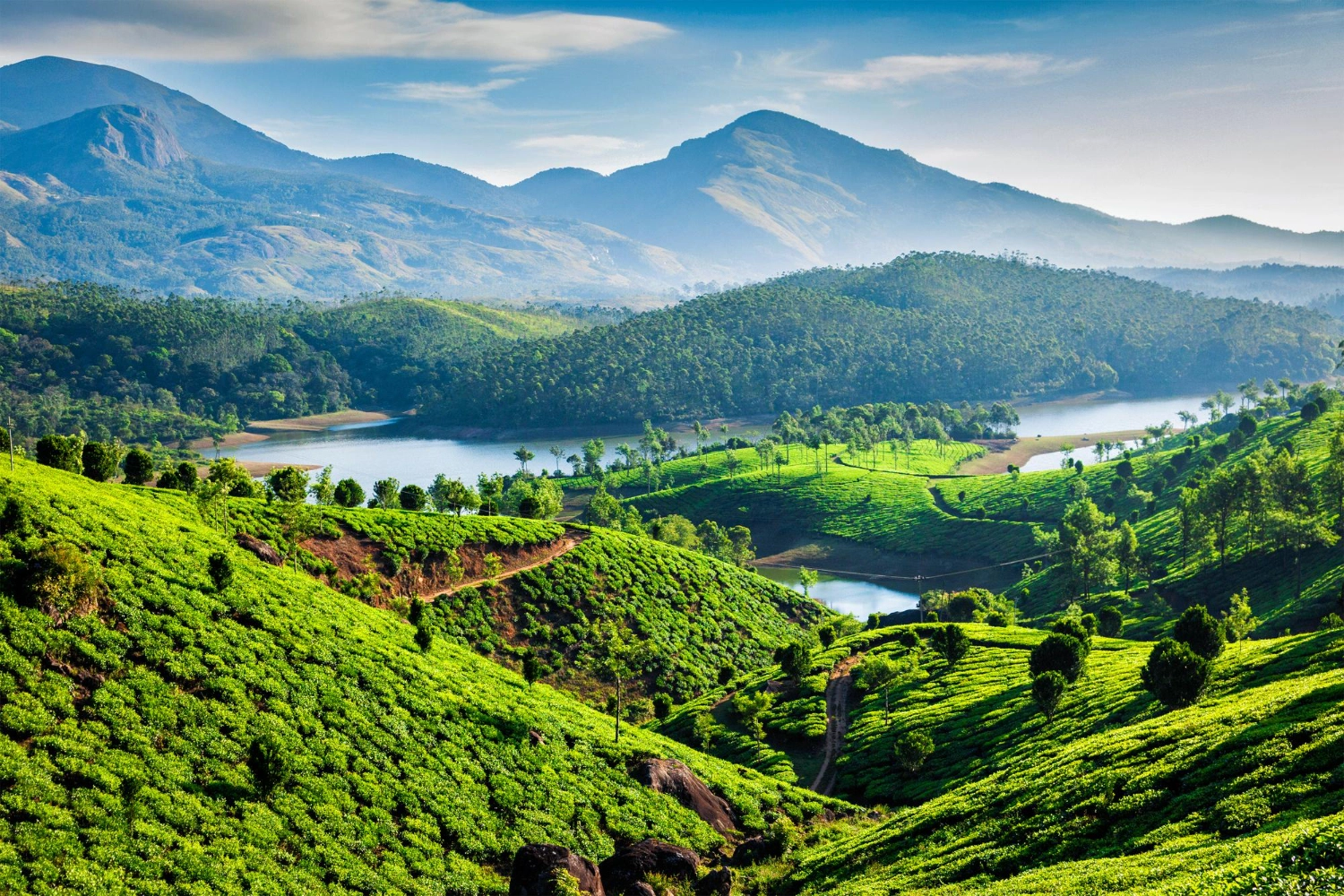 Welcome Back to Heal in Kerala